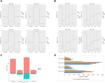 Skeletal muscle feature of different populations in large yellow croaker (Larimichthys crocea): from an epigenetic point of view
